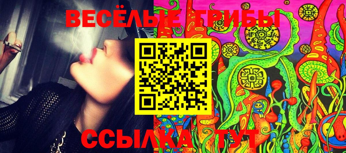 Галлюциногенные грибы MAGIC MUSHROOMS  Псилоцибиновые грибы Magic Shrooms  Карасук  Вход с VPN 
