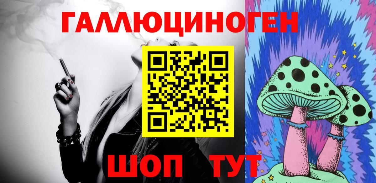 Псилоцибиновые грибы Psilocybine cubensis Карасук
